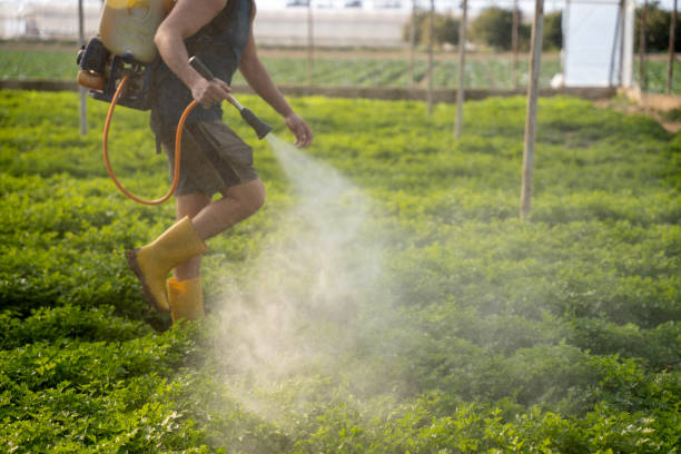 Best Residential Pest Control  in Bowdon, GA
