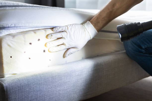 Best Pest Control for Restaurants  in Bowdon, GA