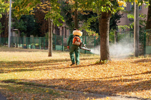 Best Best Pest Control Companies  in Bowdon, GA