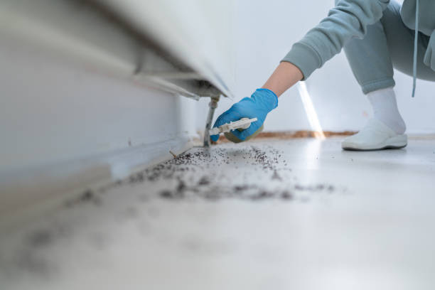 Best Cockroach Control Services  in Bowdon, GA